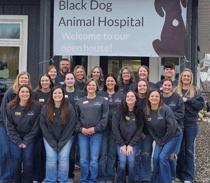 Black Dog Animal Hospital - Jan 2026